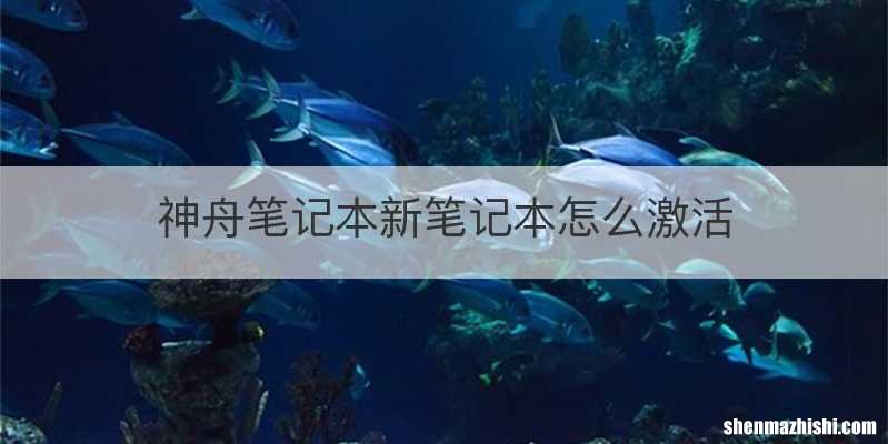 神舟笔记本新笔记本怎么激活