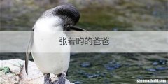 张若昀的爸爸