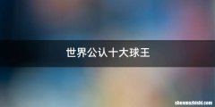 世界公认十大球王