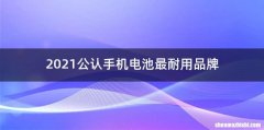 2021公认手机电池最耐用品牌