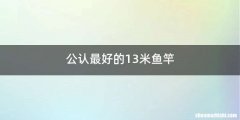 公认最好的13米鱼竿