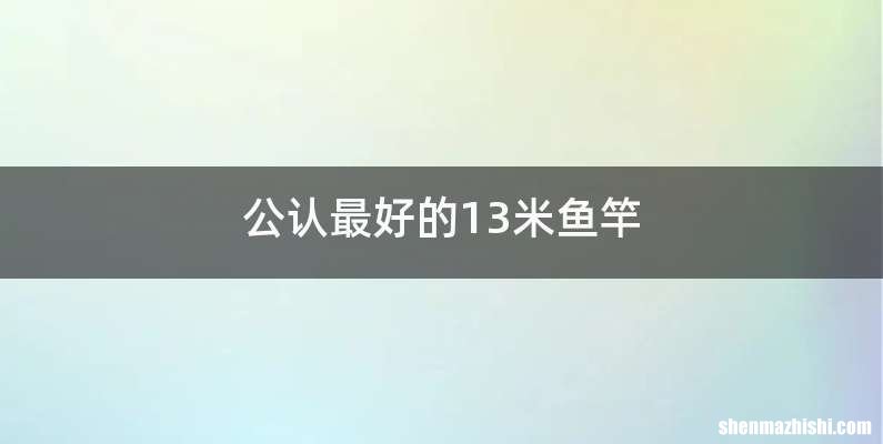 公认最好的13米鱼竿