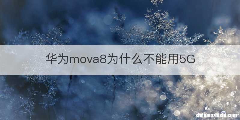 华为mova8为什么不能用5G