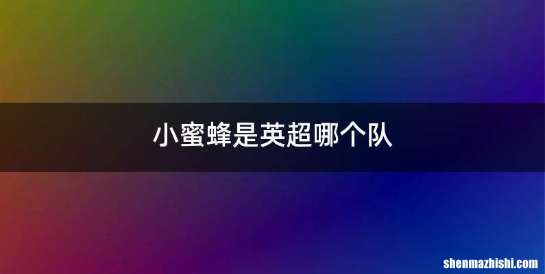小蜜蜂是英超哪个队
