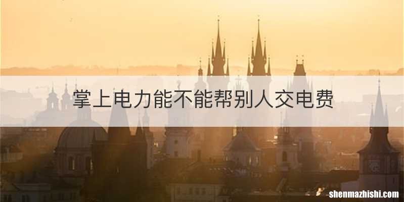 掌上电力能不能帮别人交电费