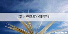 掌上户籍室办理流程