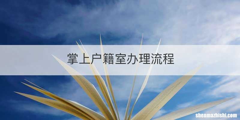 掌上户籍室办理流程