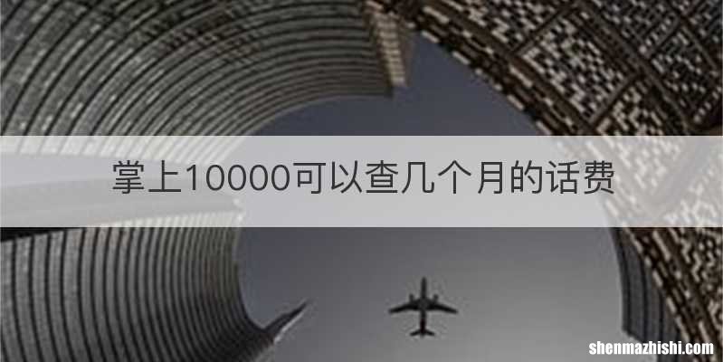 掌上10000可以查几个月的话费