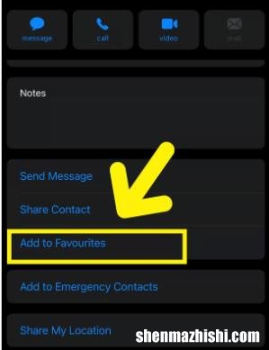 如何在iPhone上查看最近添加的联系人