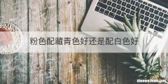 粉色配藏青色好还是配白色好