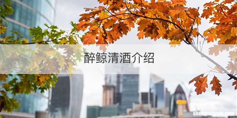 醉鲸清酒介绍