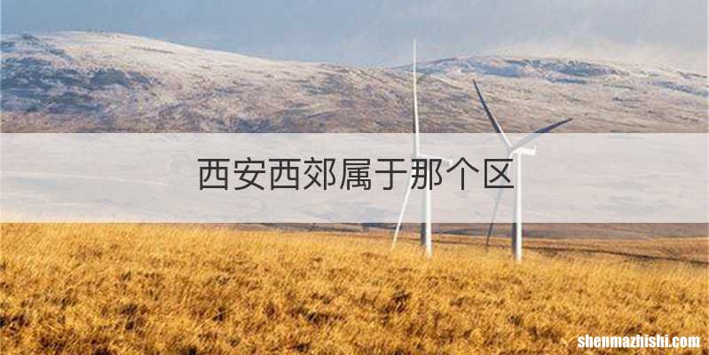 西安西郊属于那个区