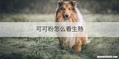 可可粉怎么看生熟