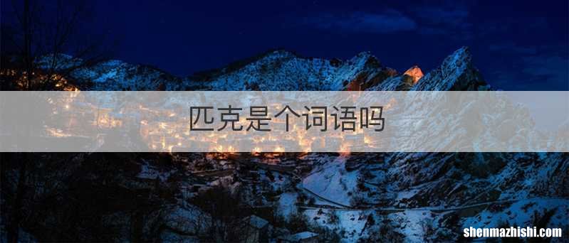 匹克是个词语吗