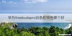 华为freebudspro白色和银色哪个好