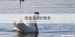 湖清海晏的意思