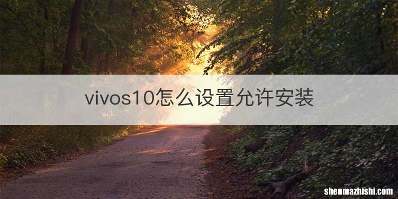 vivos10怎么设置允许安装
