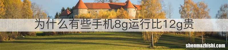 为什么有些手机8g运行比12g贵