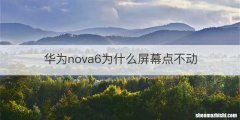 华为nova6为什么屏幕点不动
