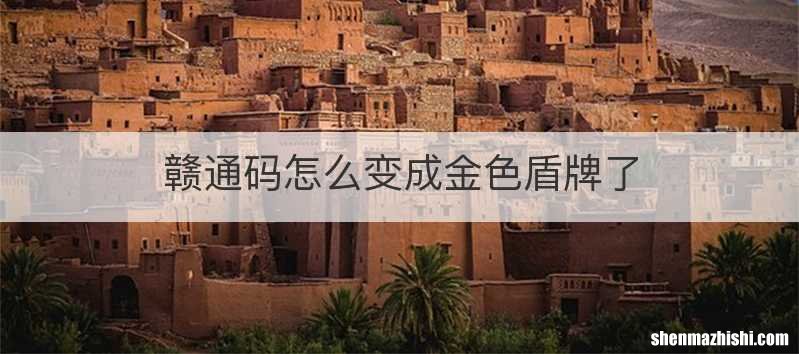 赣通码怎么变成金色盾牌了