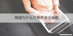 酷喵为什么只有声音没画面