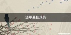 法甲最佳球员