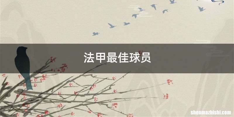 法甲最佳球员