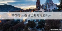 华为怎么看自己的充电器几a