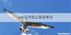 esb证书怎么报名考试