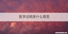 医学证明是什么意思