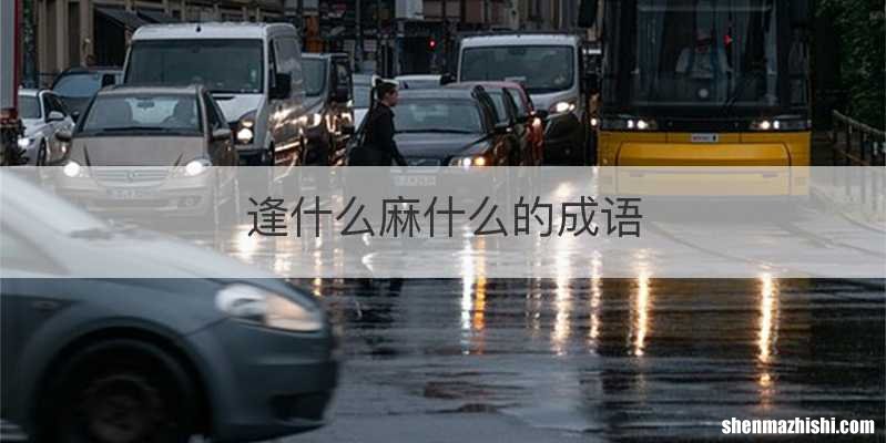 逢什么麻什么的成语