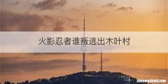 火影忍者谁叛逃出木叶村