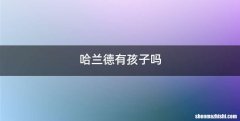 哈兰德有孩子吗