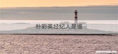 朴彩英经纪人是谁