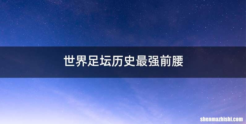 世界足坛历史最强前腰