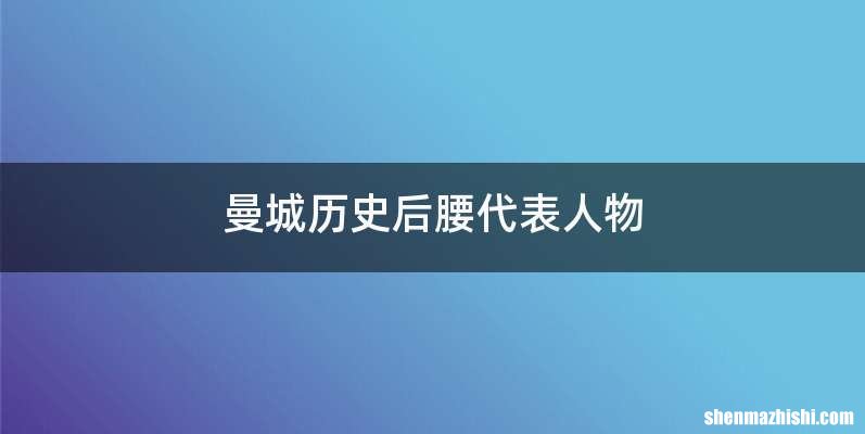 曼城历史后腰代表人物