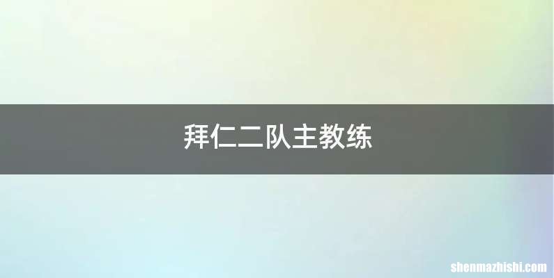 拜仁二队主教练