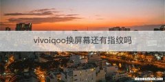 vivoiqoo换屏幕还有指纹吗