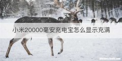 小米20000毫安充电宝怎么显示充满