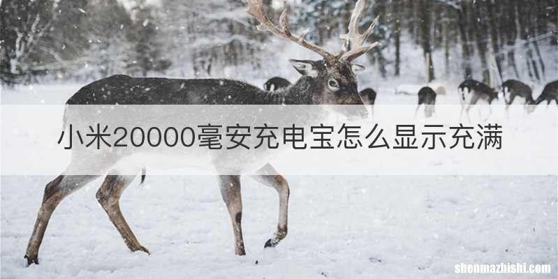 小米20000毫安充电宝怎么显示充满