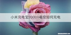 小米充电宝20000毫安如何充电