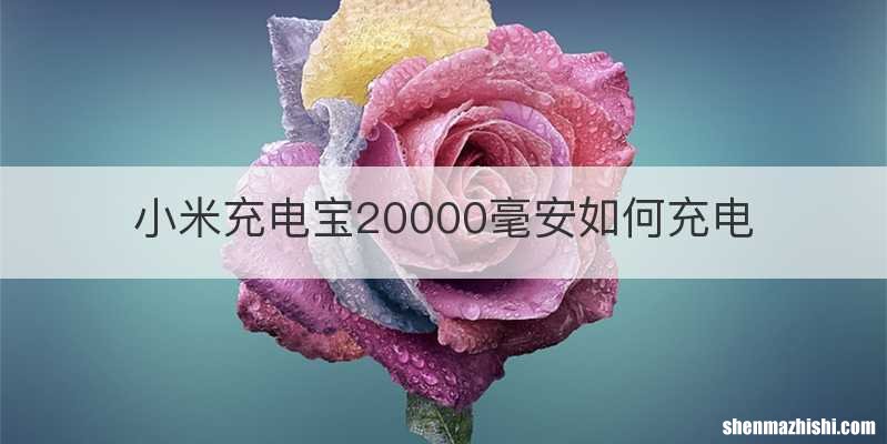 小米充电宝20000毫安如何充电