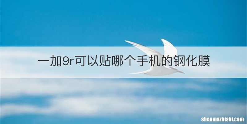 一加9r可以贴哪个手机的钢化膜