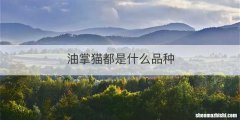 油掌猫都是什么品种