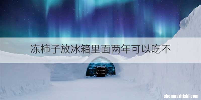 冻柿子放冰箱里面两年可以吃不