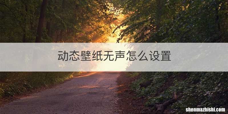 动态壁纸无声怎么设置