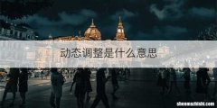 动态调整是什么意思