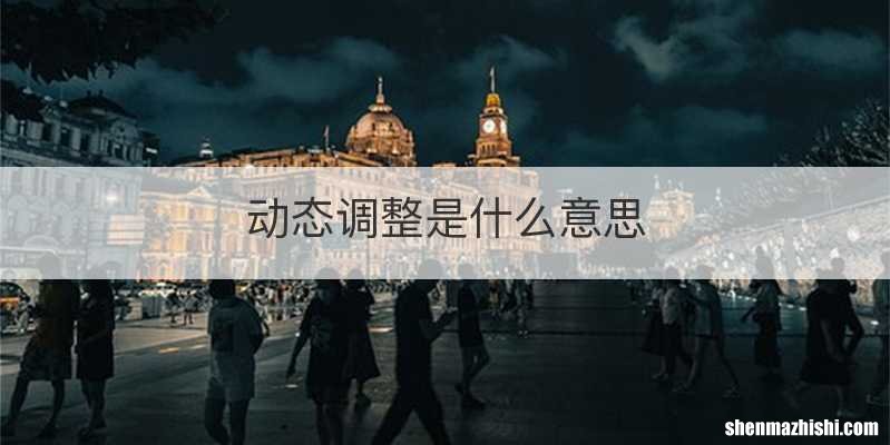 动态调整是什么意思