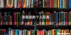 泽塔琼斯个人写真