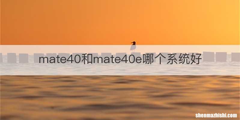 mate40和mate40e哪个系统好